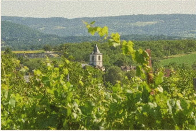 Le bourg de Branceilles vu depuis les vignes