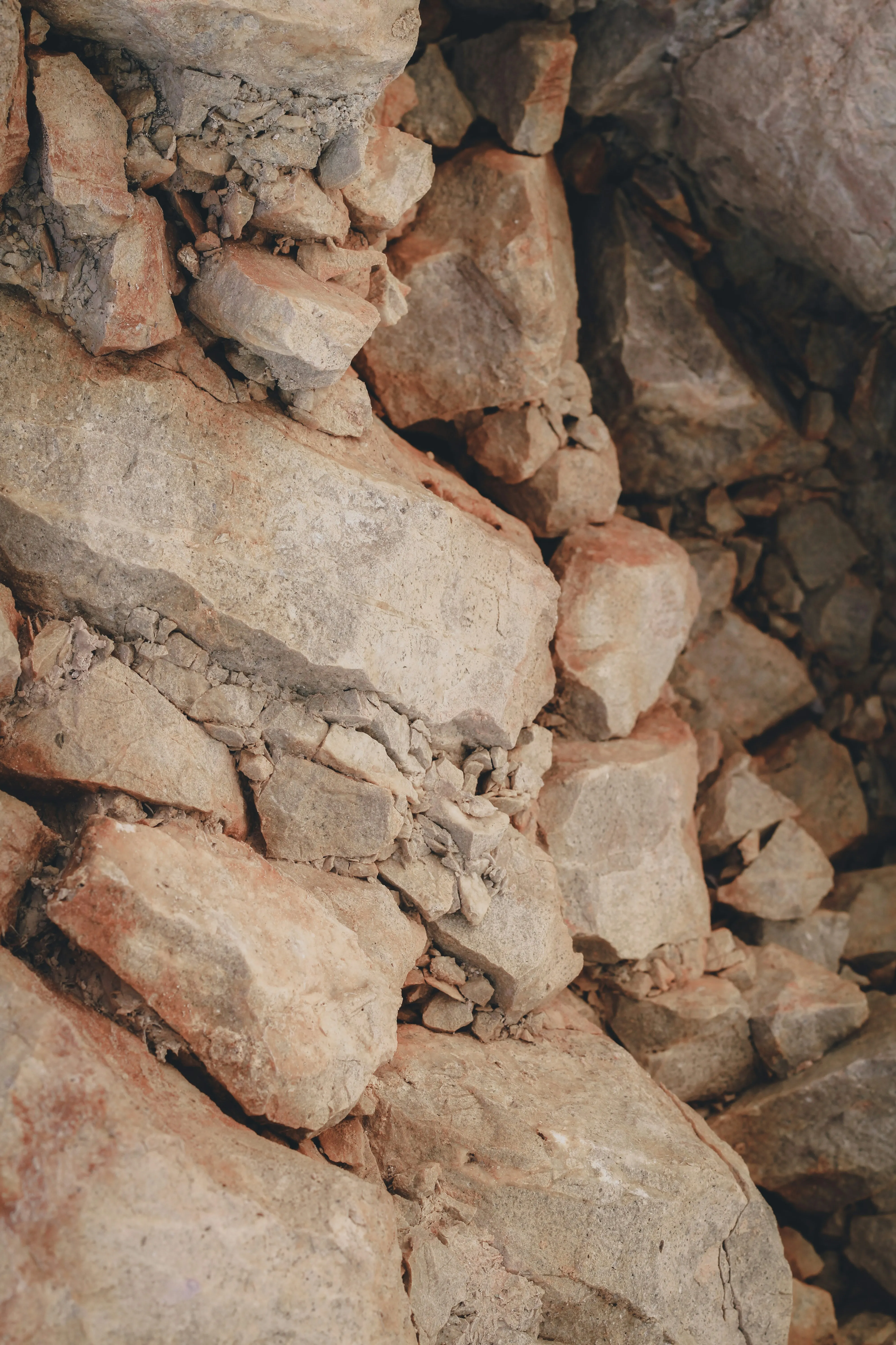 Terroir de Branceilles