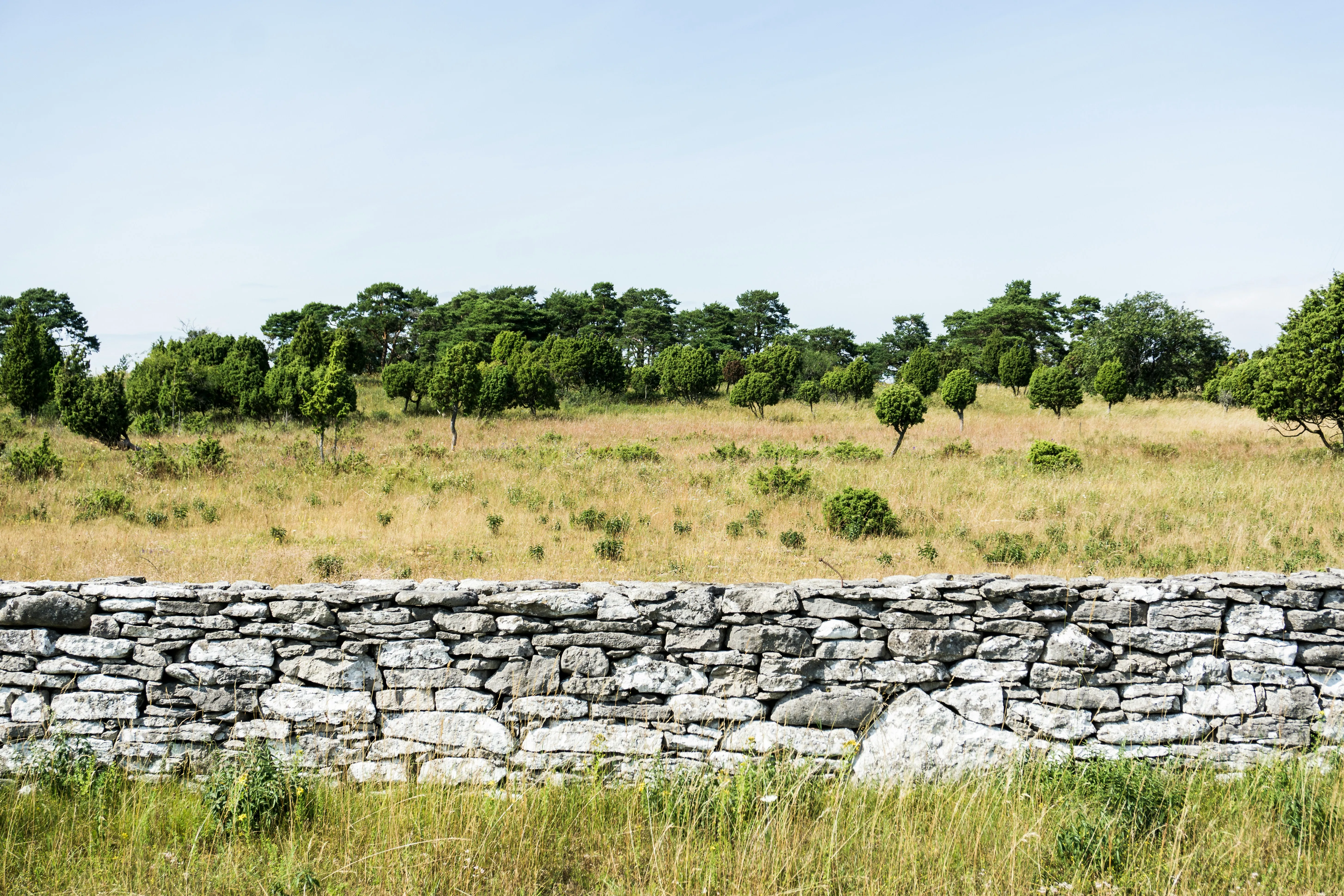Calcaire d'un vignoble